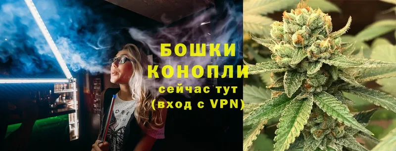 Каннабис White Widow  Реутов 